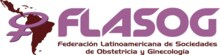 Logo: flasog